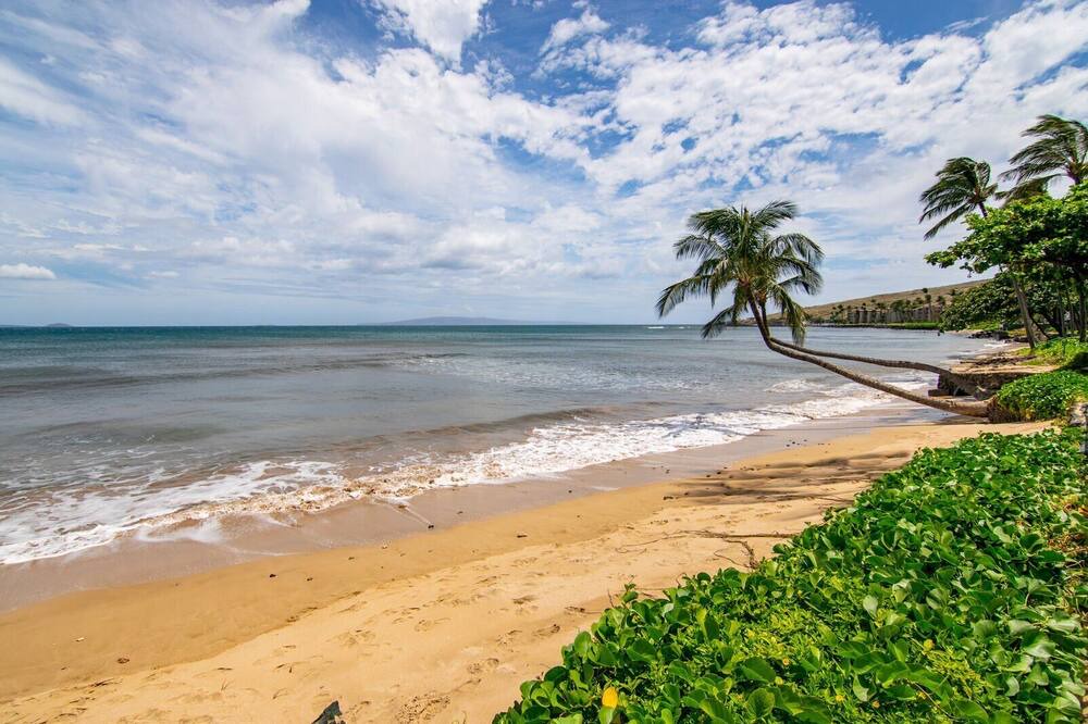Photo of Others in Maalaea