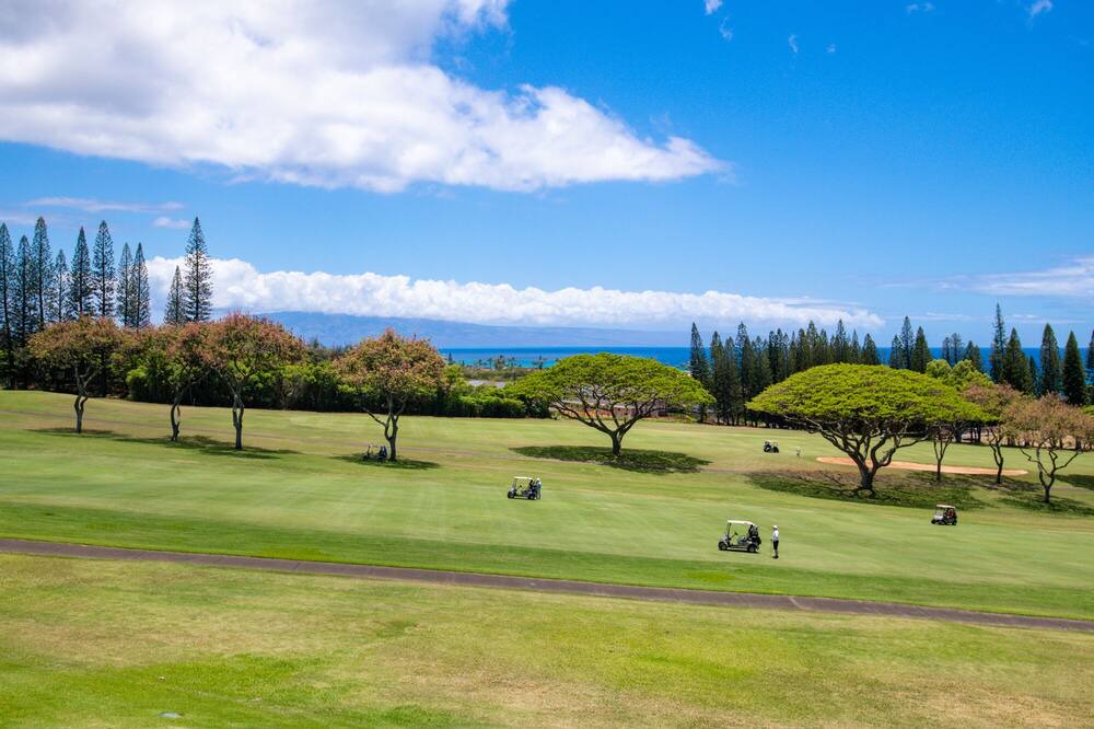 Photo of Others in Kapalua