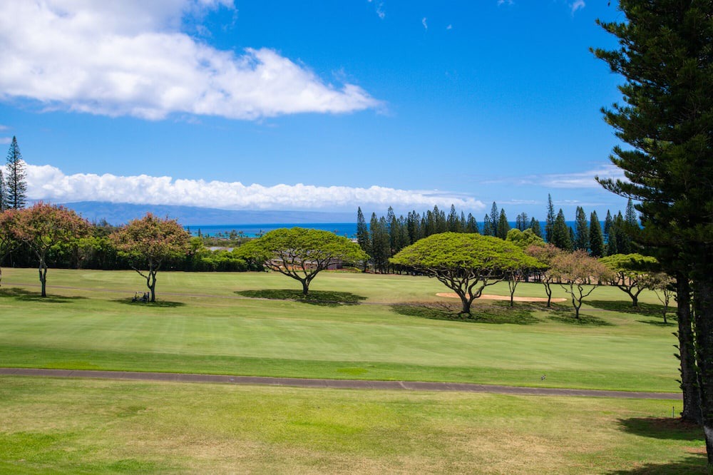 Photo of Outdoor in Kapalua