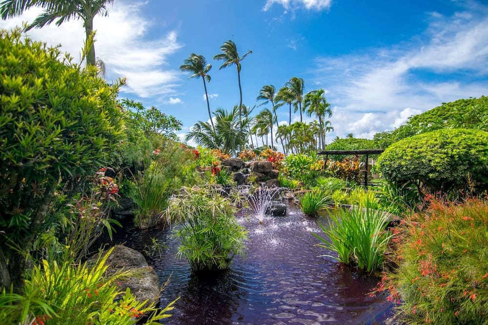 Photo of Outdoor in Napili