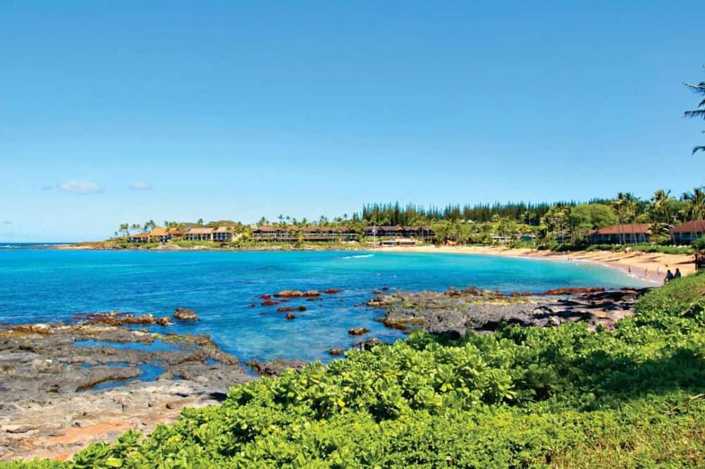 Photo of Others in Napili