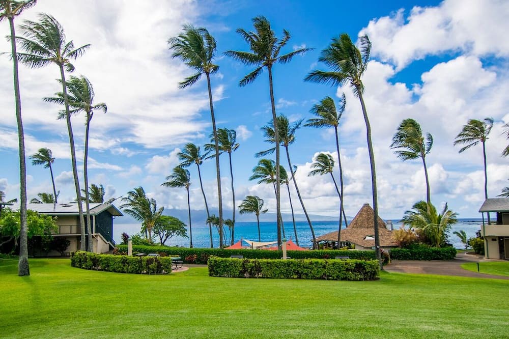 Photo of Outdoor in Napili