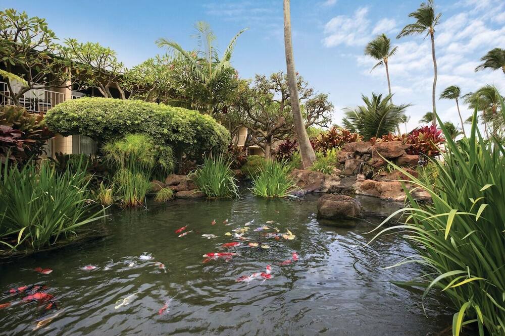 Photo of Others in Napili