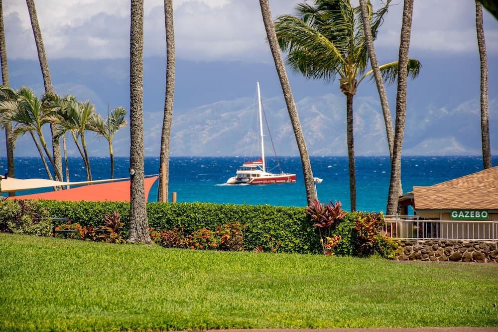 Photo of Others in Napili