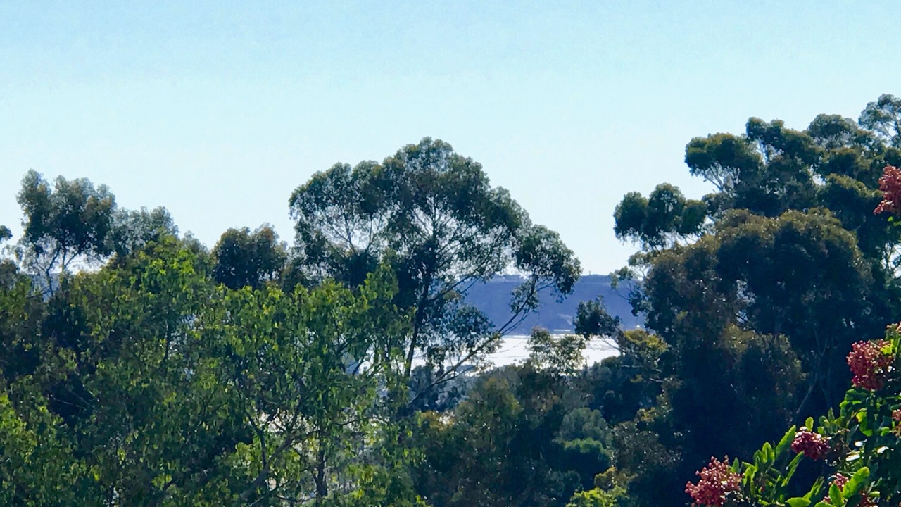 Photo of Others in Mission Hills