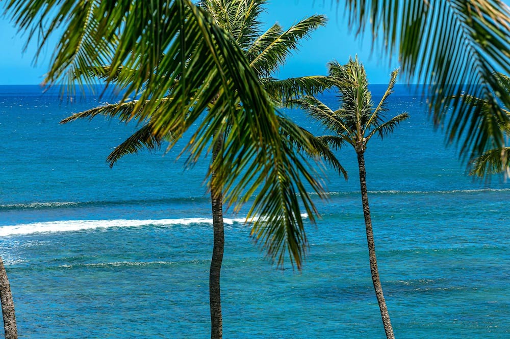 Photo of Outdoor in Maalaea