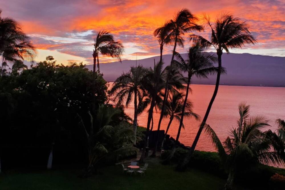 Photo of Others in Maalaea