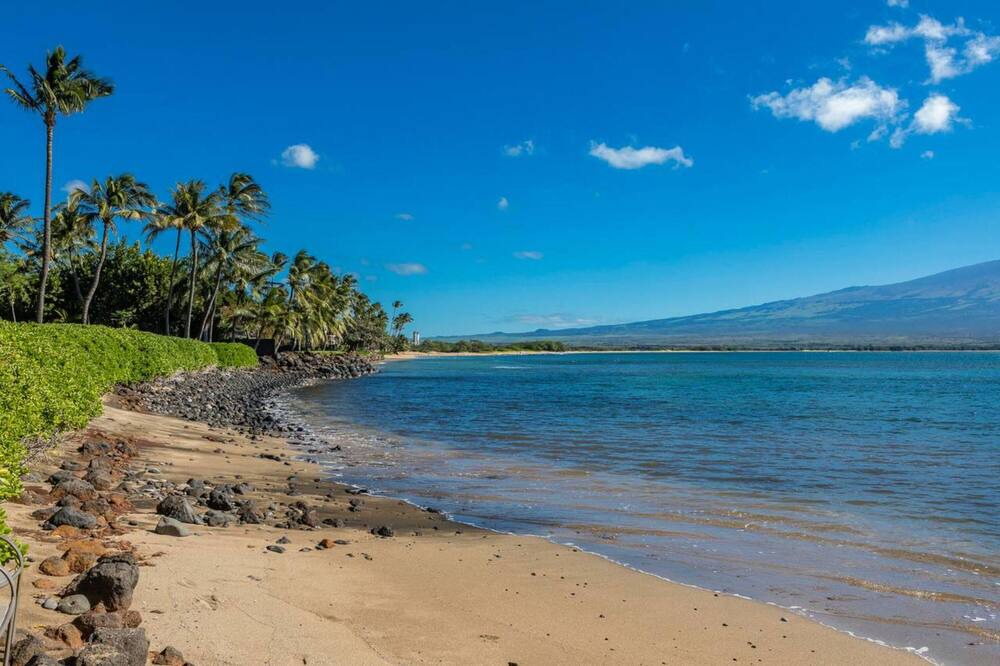 Photo of Outdoor in Maalaea