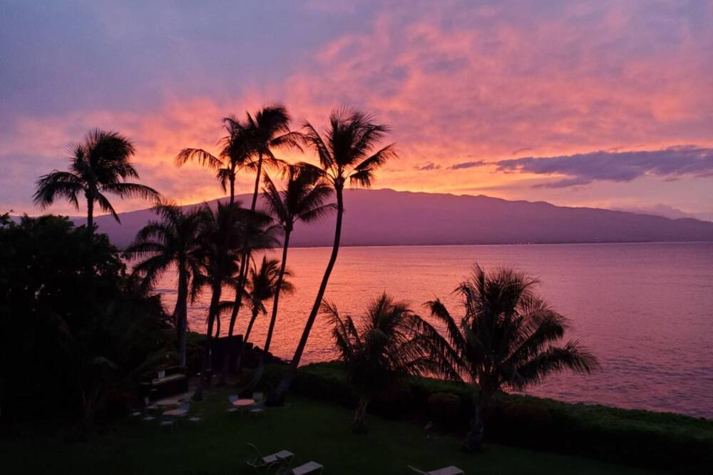 Photo of Others in Maalaea