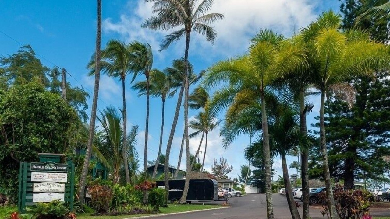 Photo of Outdoor in Wainiha