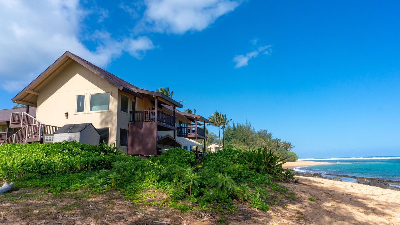 Photo of Outdoor in Wainiha