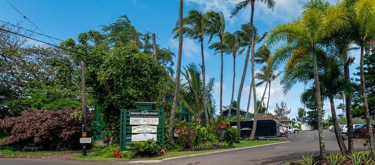 Photo of Outdoor in Wainiha