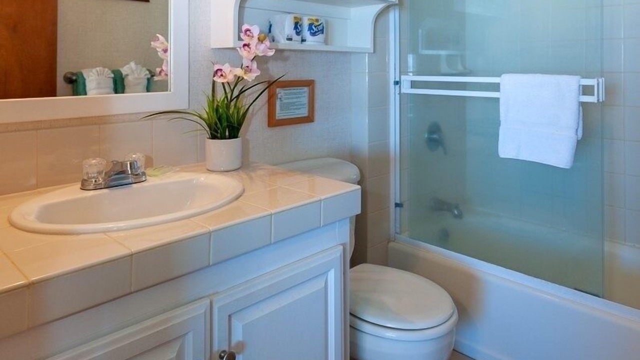 Photo of Bathroom in Wainiha