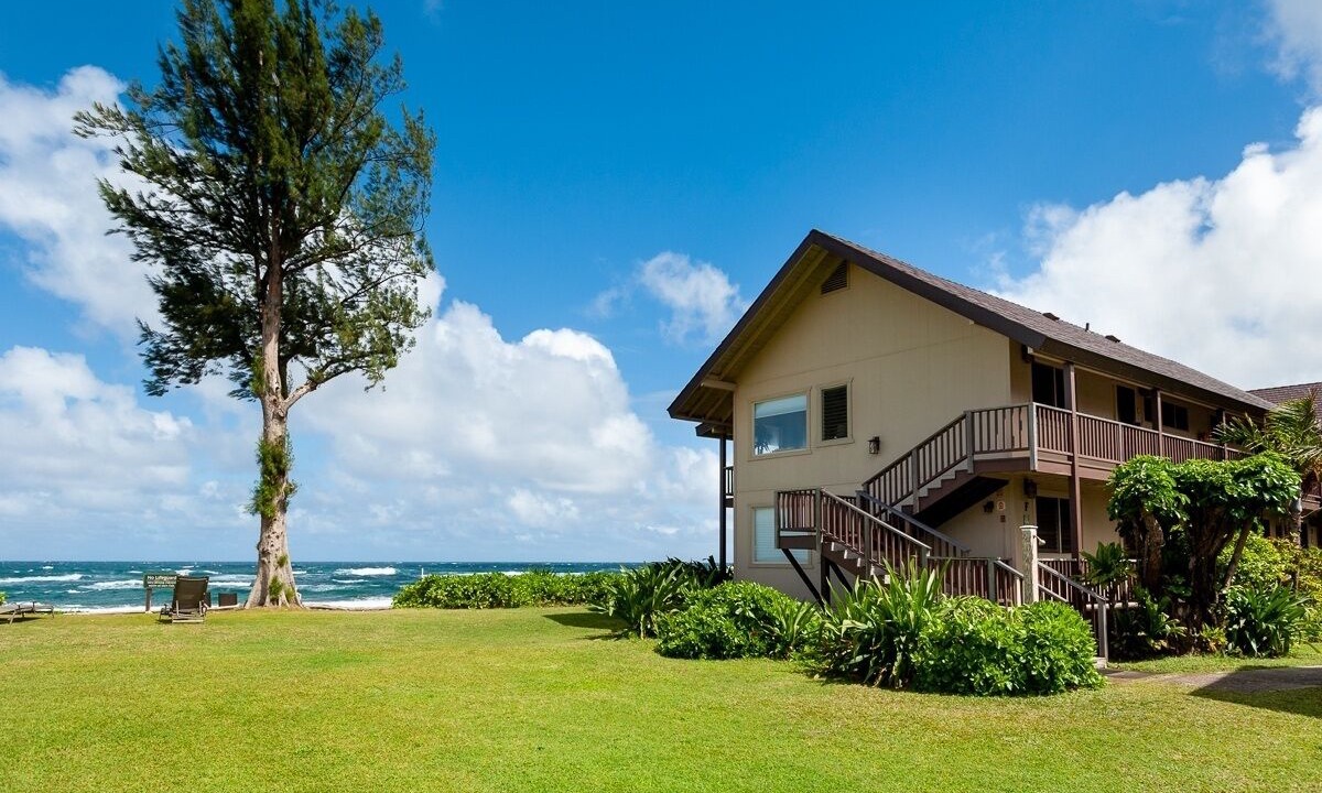 Photo of Outdoor in Wainiha