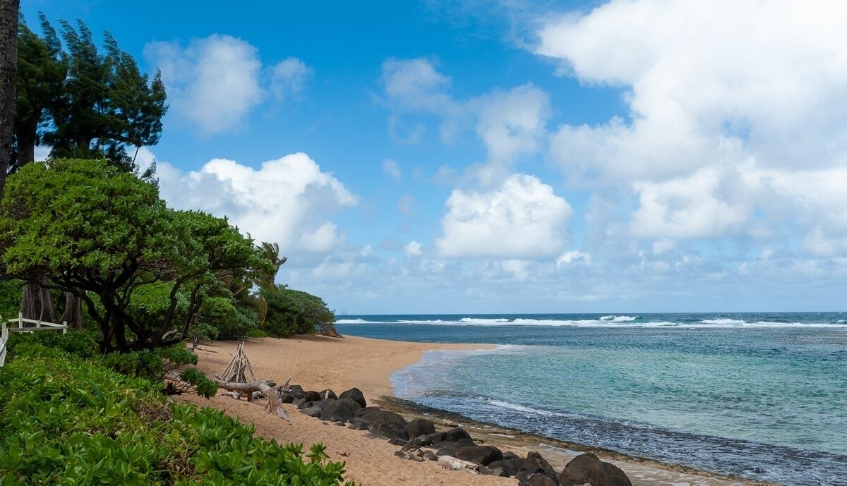 Photo of Others in Wainiha