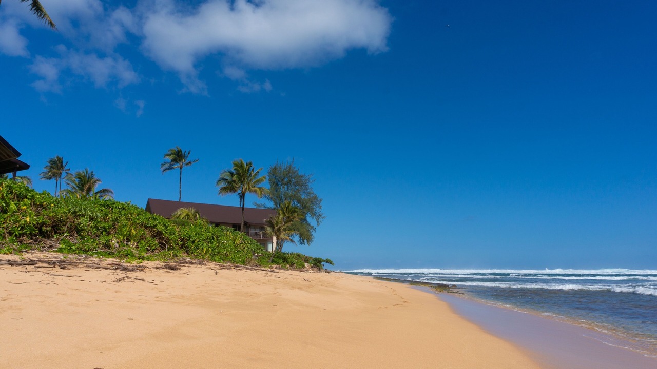 Photo of Others in Wainiha