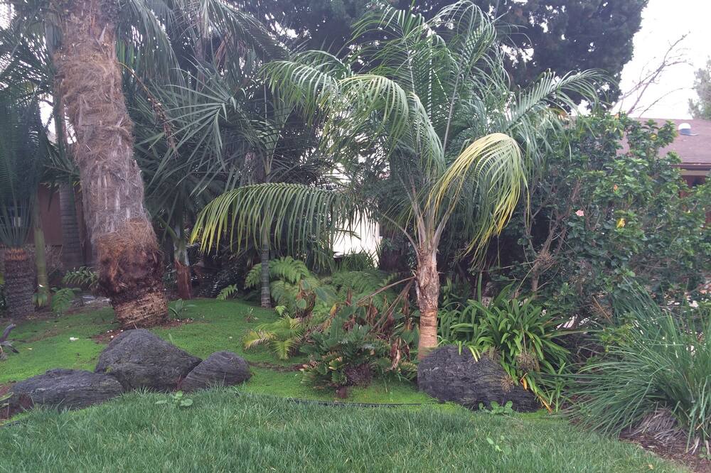 Photo of Others in Clairemont Mesa West