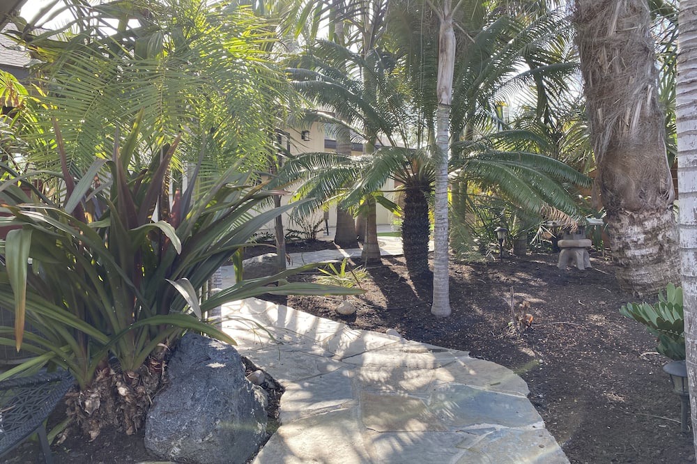 Photo of Outdoor in Clairemont Mesa West