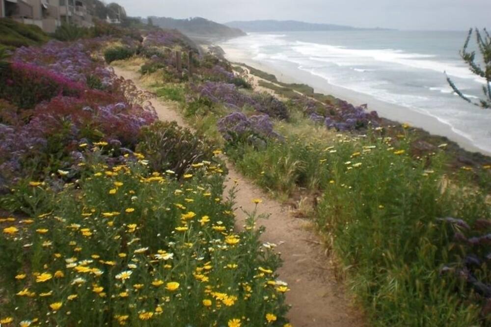 Photo of Others in Del Mar