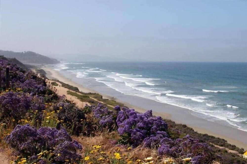 Photo of Others in Del Mar