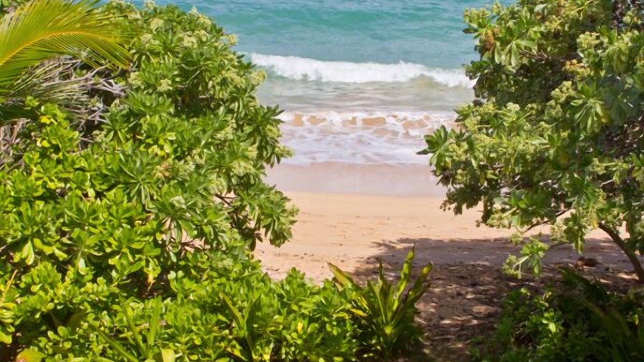 Photo of Others in Anahola