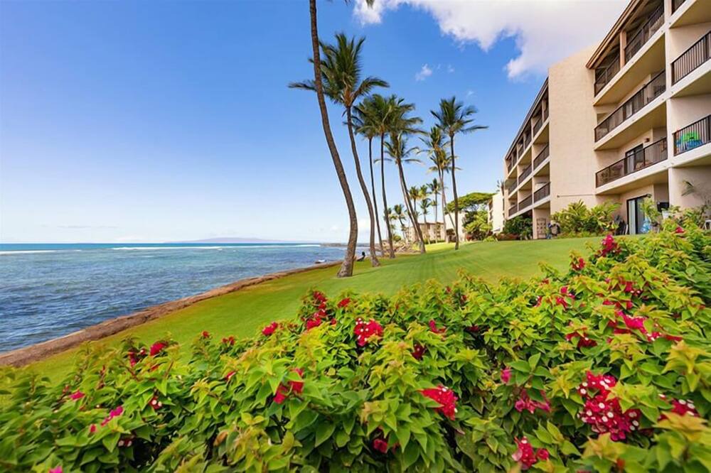 Photo of Others in Maalaea
