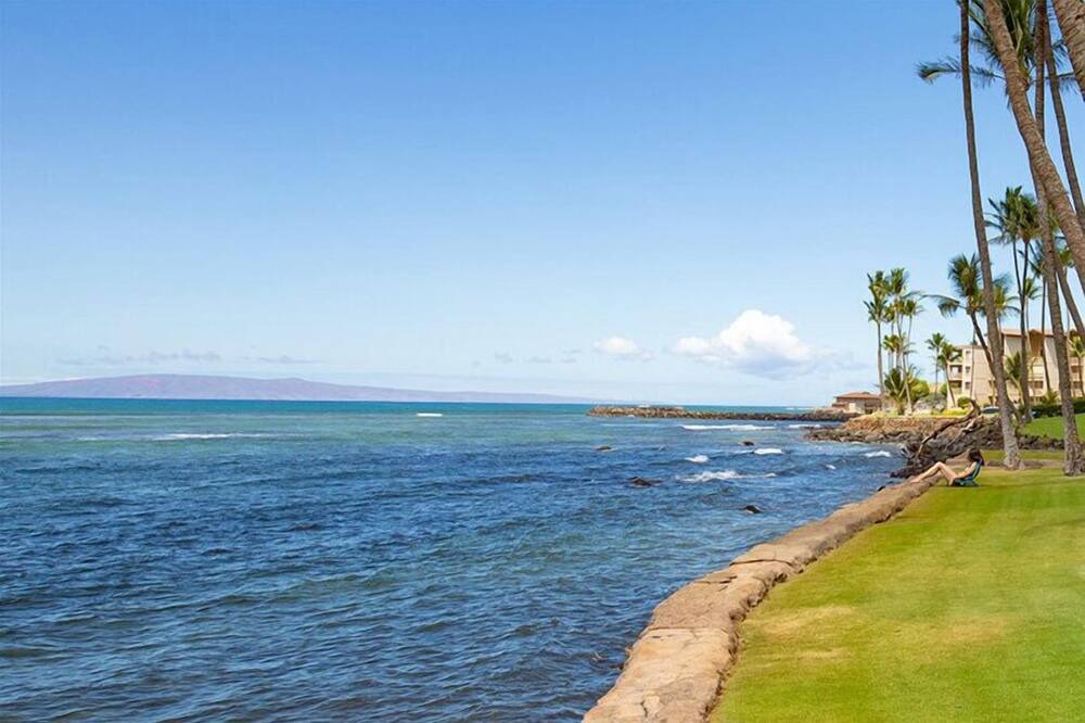 Photo of Others in Maalaea