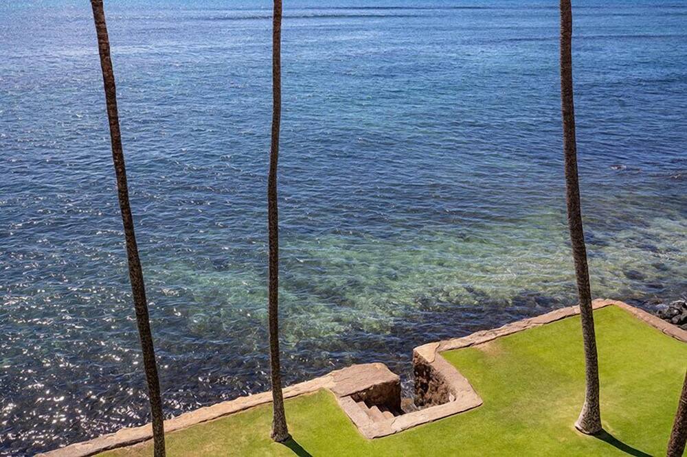 Photo of Others in Maalaea