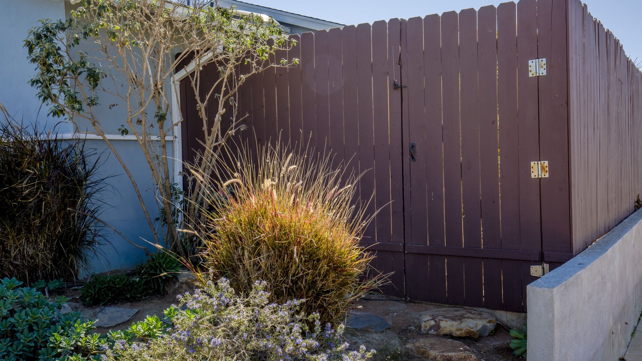 Photo of Outdoor in Clairemont