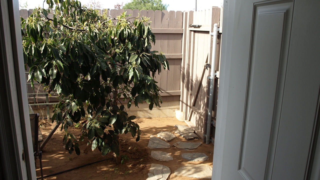 Photo of Patio Balcony in Clairemont