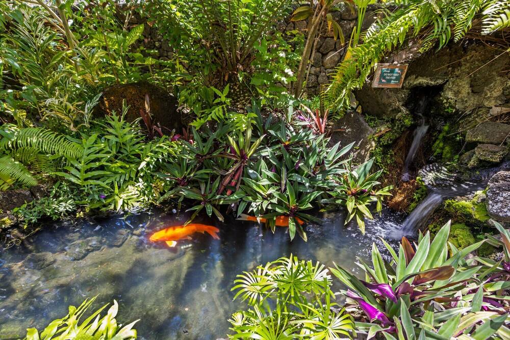 Photo of Outdoor in Poipu