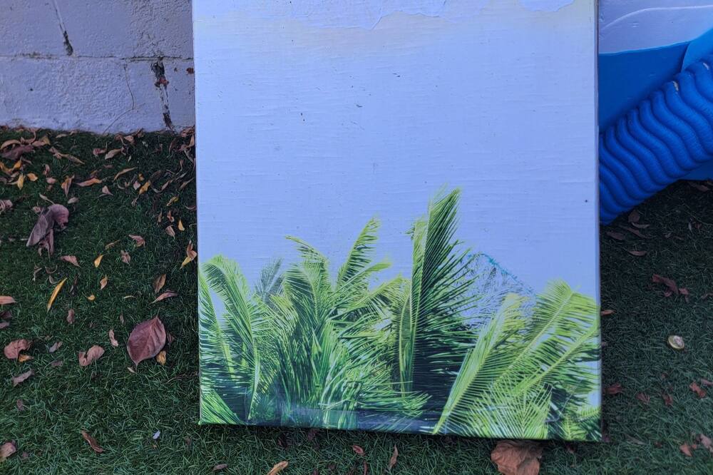Photo of Outdoor in Linda Vista