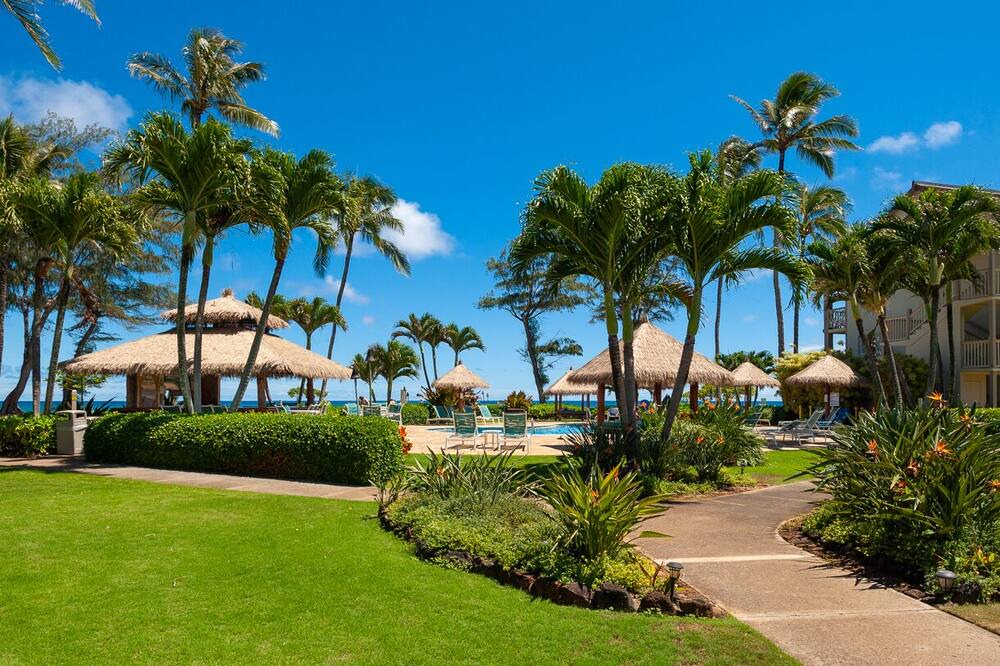 Photo of Others in Wailua