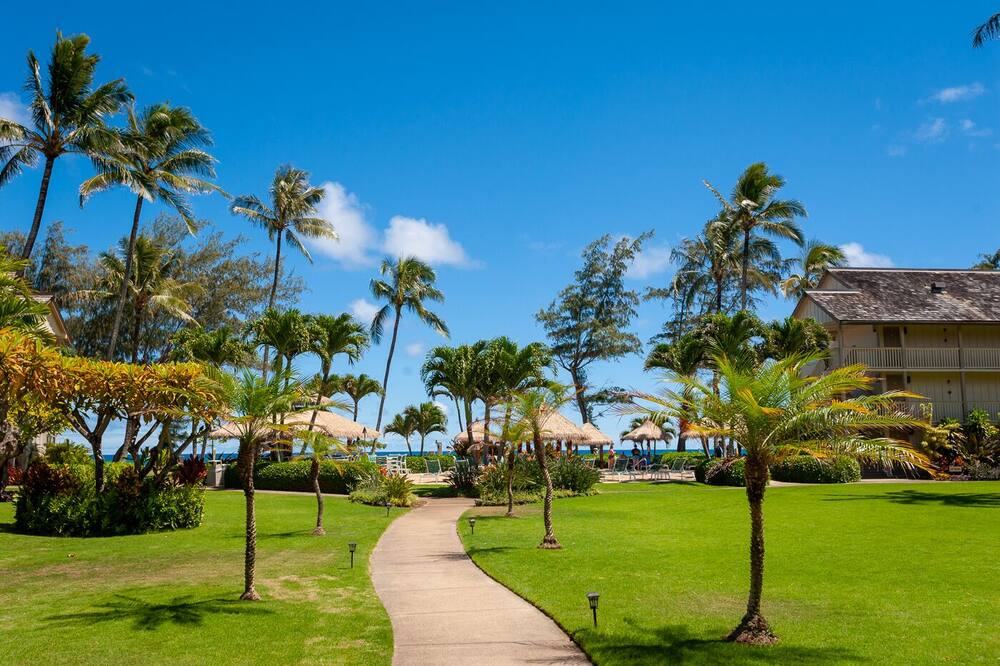 Photo of Others in Wailua