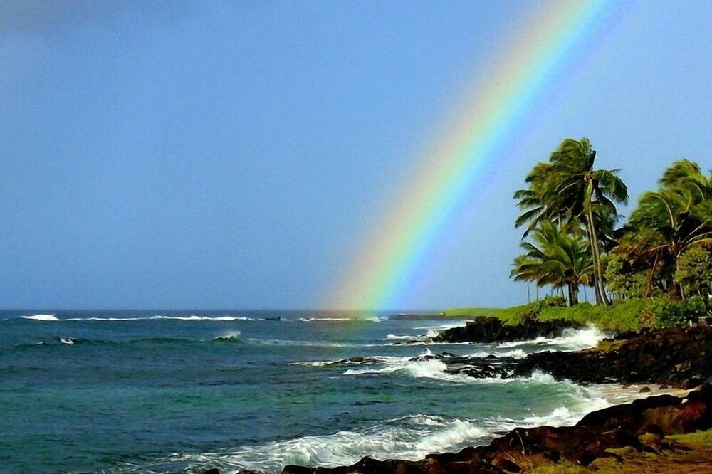 Photo of Others in Poipu