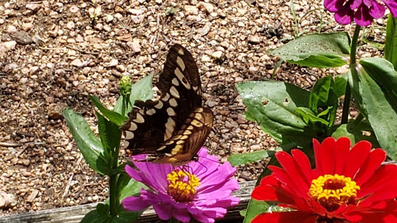 Photo of Outdoor in Wimberley