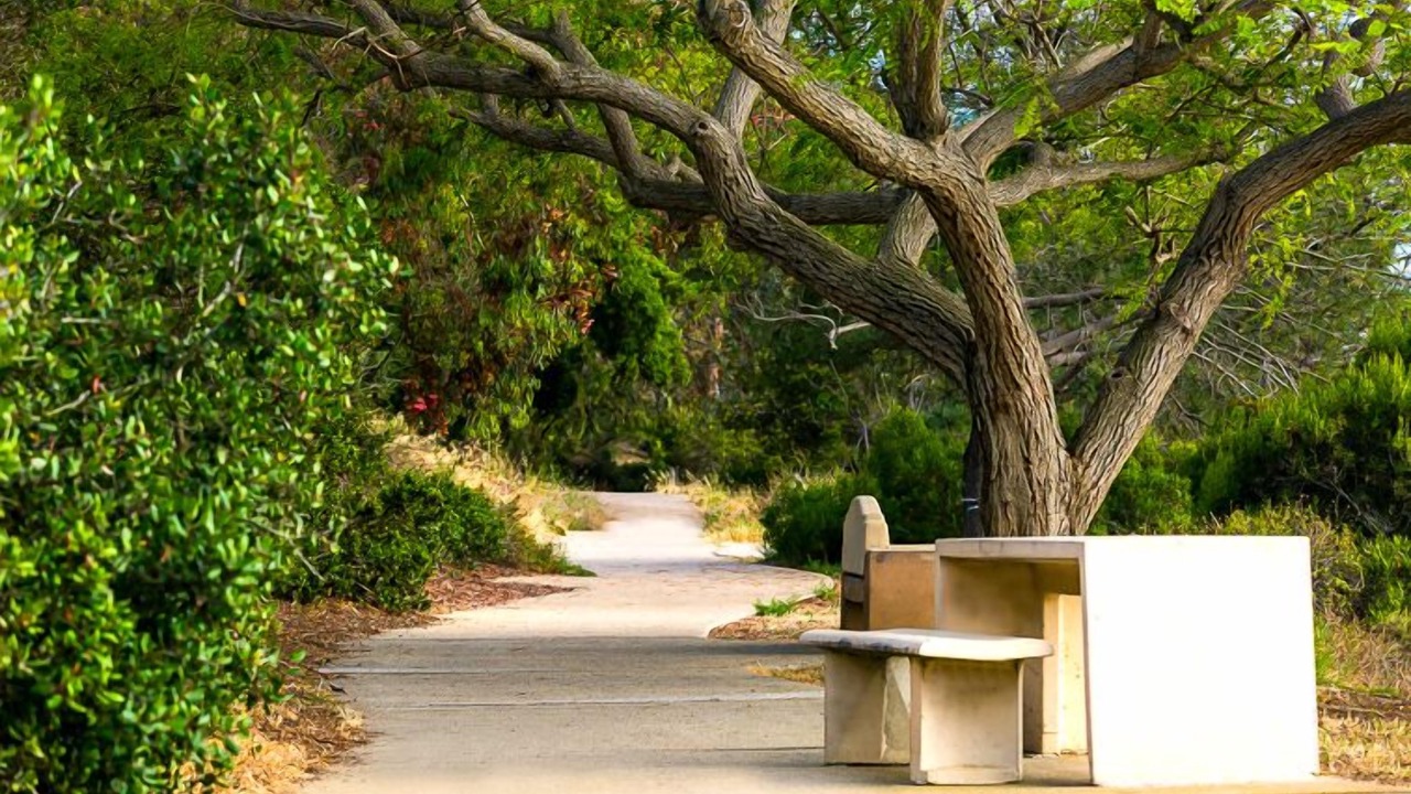 Photo of Outdoor in Beach Barber Tract