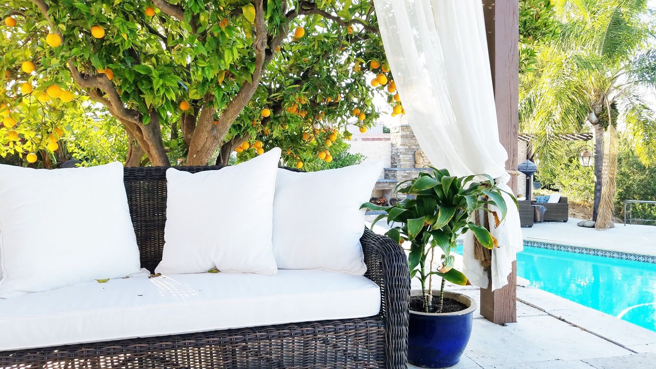 Photo of Outdoor in Clairemont