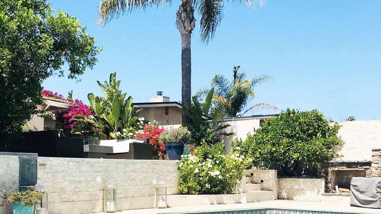 Photo of Outdoor in Clairemont