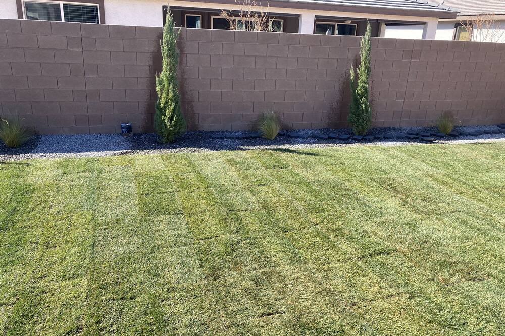 Photo of Outdoor in Pahrump