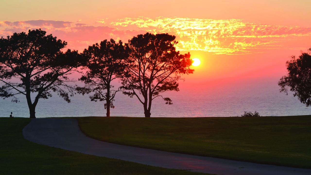 Photo of Others in Torrey Pines