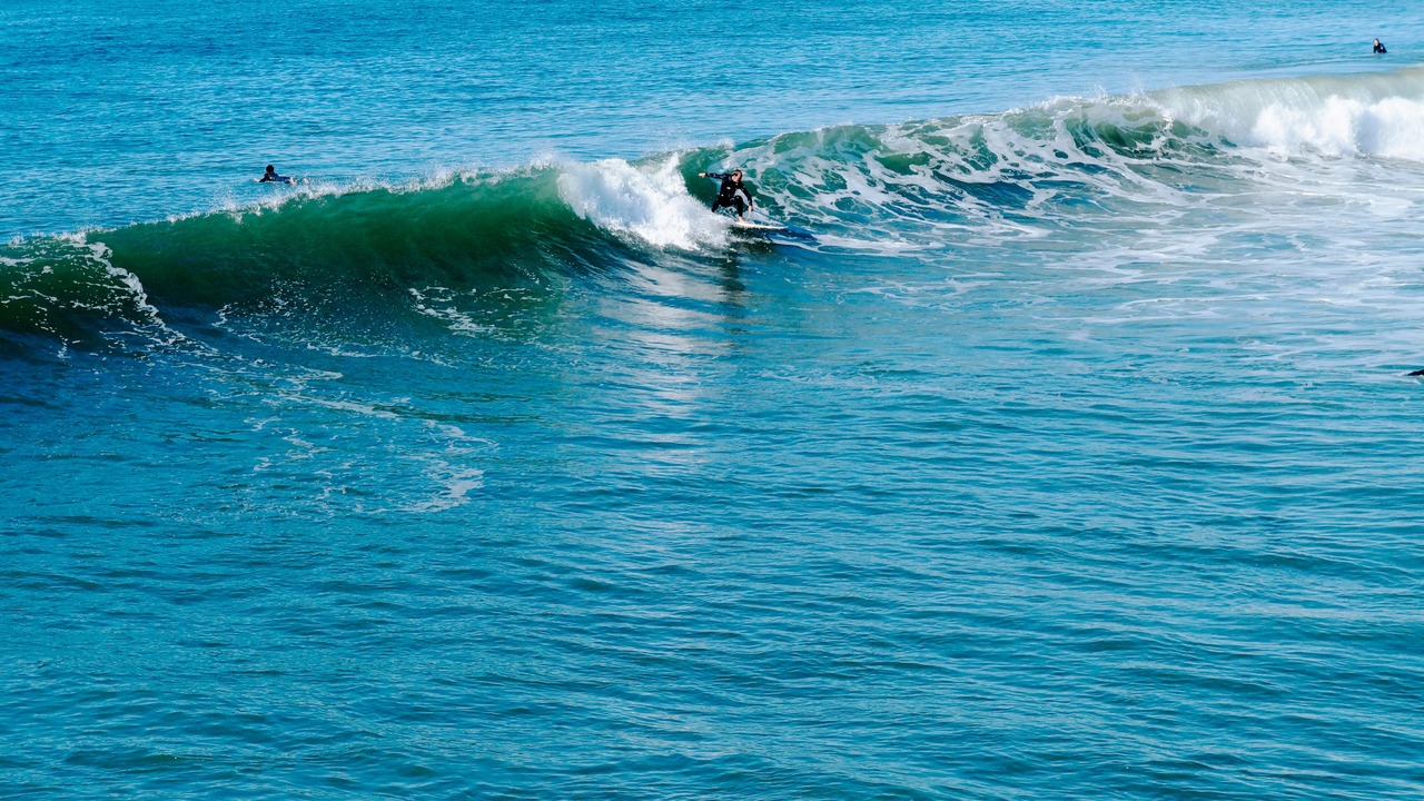 Photo of Others in Pacific Beach