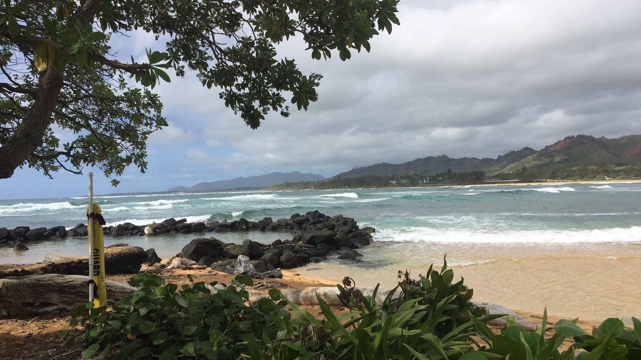 Photo of Others in Wailua