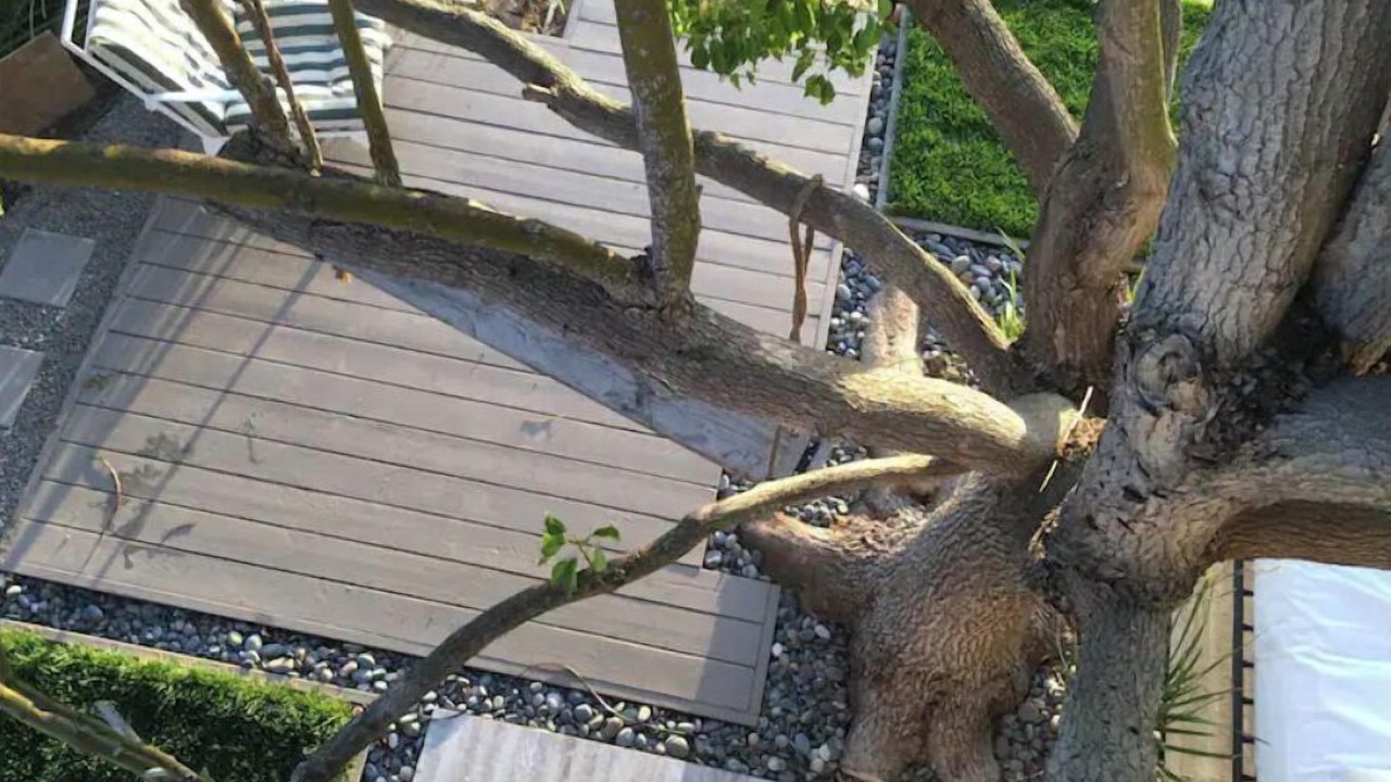 Photo of Outdoor in North Clairemont