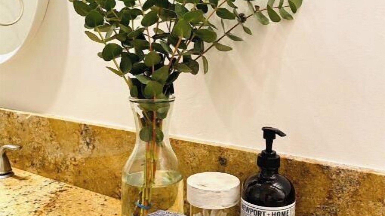 Photo of Bathroom in North Clairemont