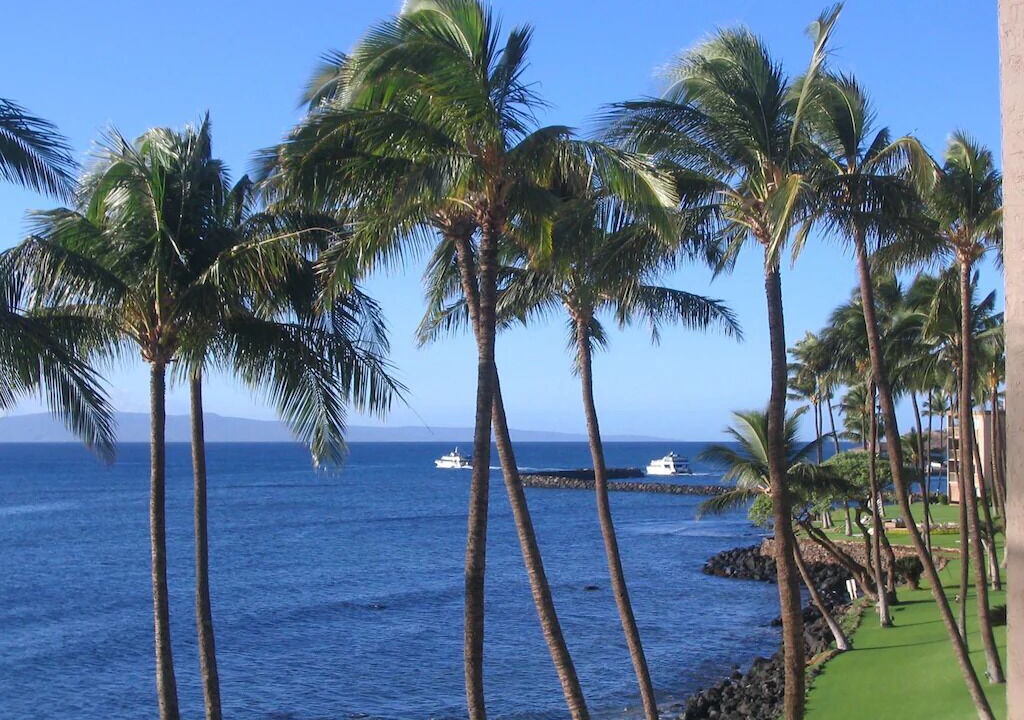 Photo of Others in Maalaea