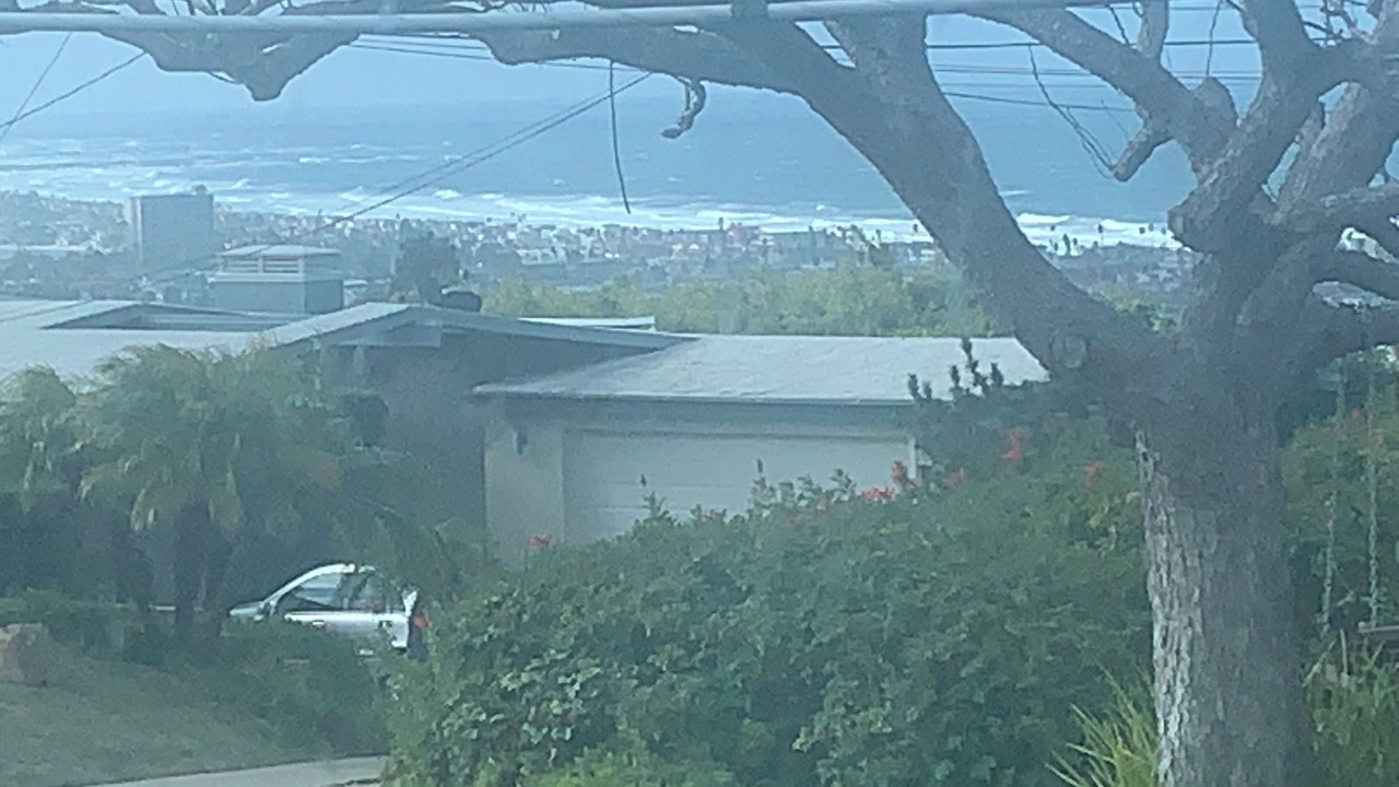 Photo of Others in North Pacific Beach