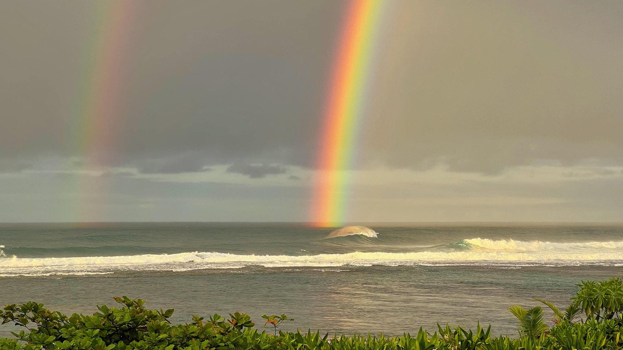 Photo of Others in Wainiha