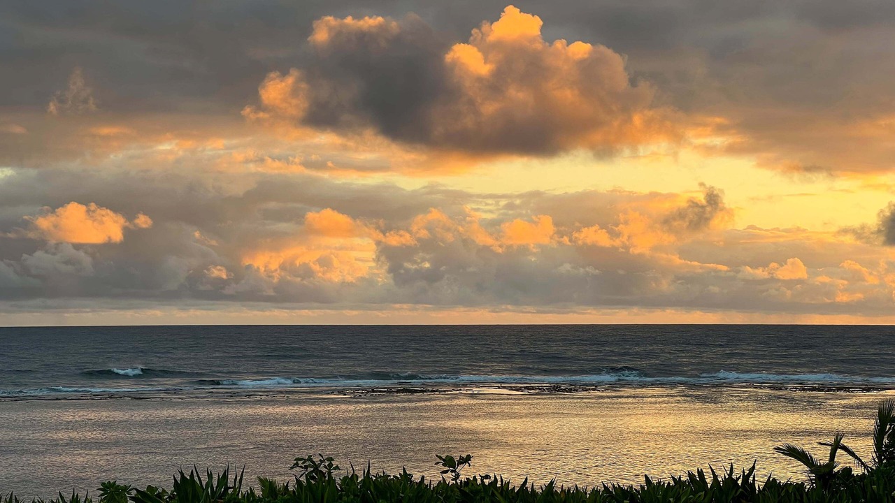 Photo of Others in Wainiha