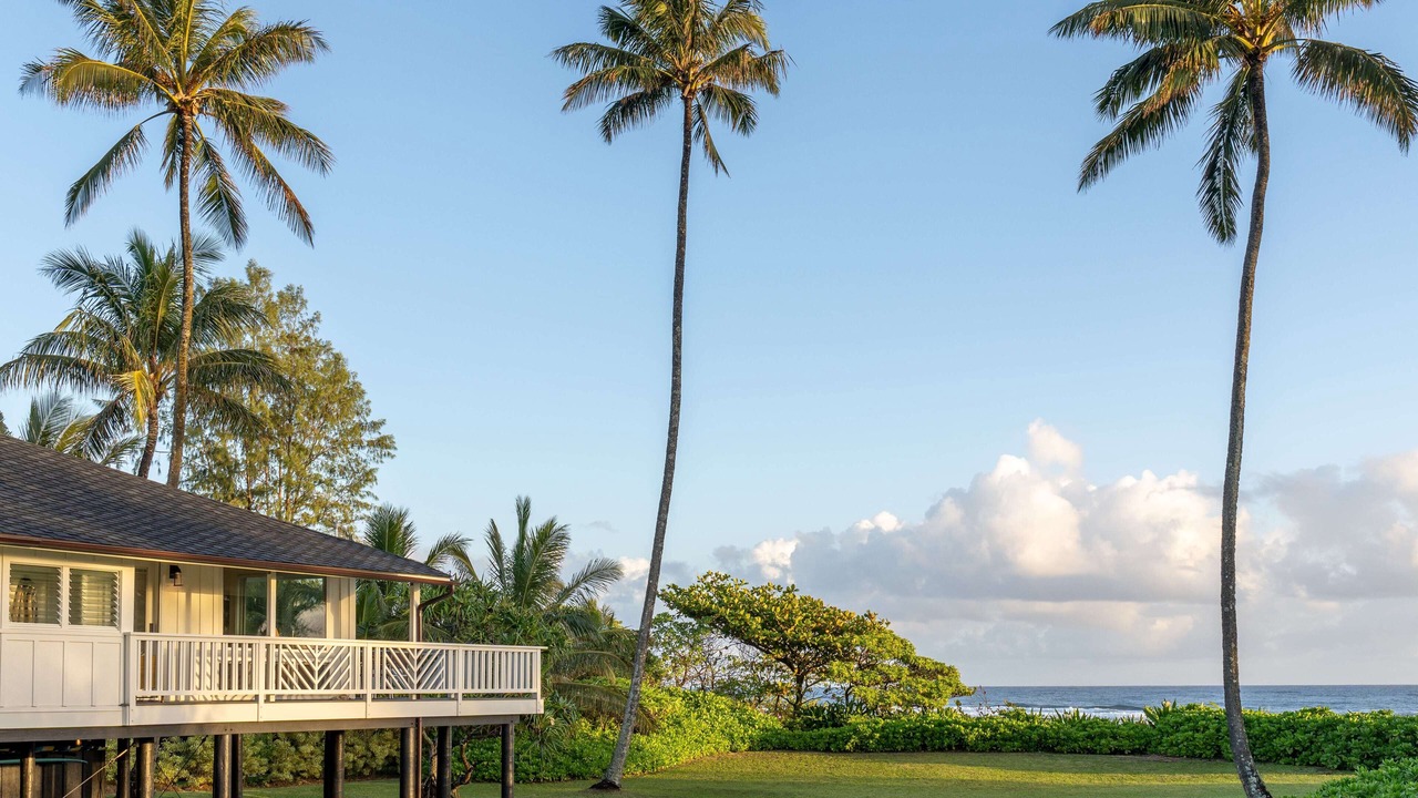 Photo of Outdoor in Wainiha